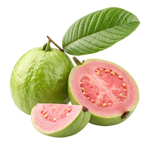 Cozy iced tea with red guava flavor (455ml)