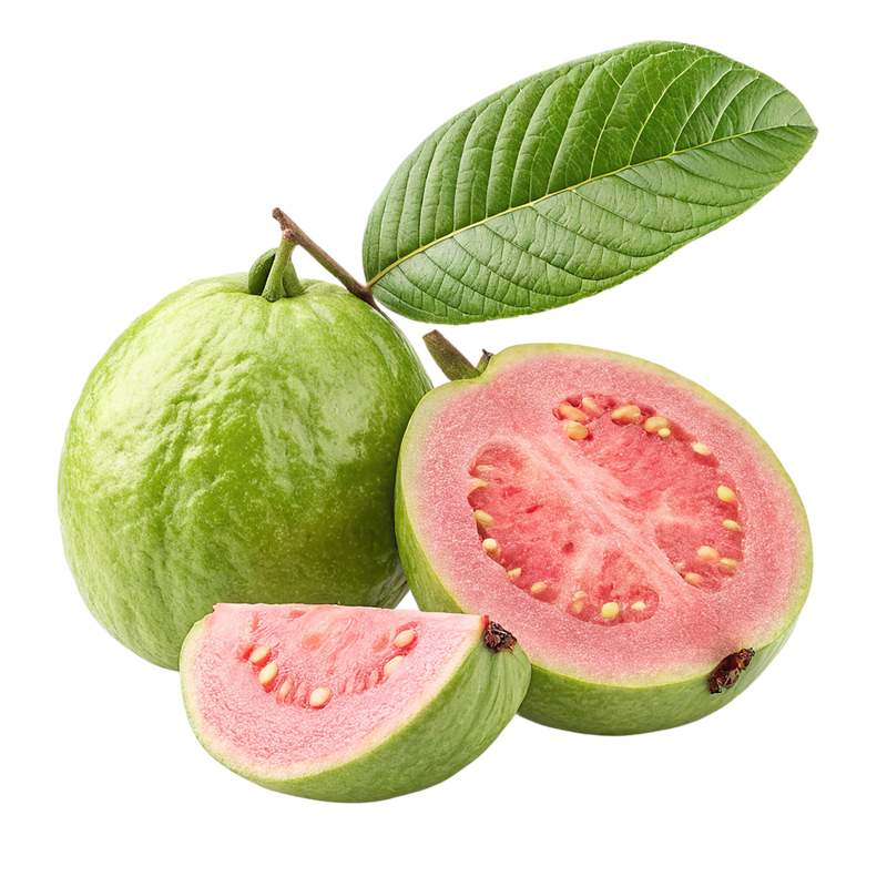 Cozy iced tea with red guava flavor (455ml)