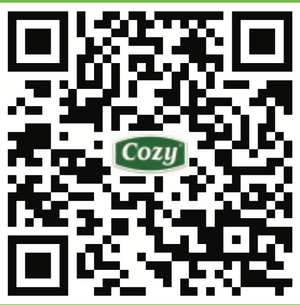 Cozy iced tea with kumquat and honey flavor (455ml)