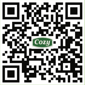 Cozy iced tea with Oolong mango flavor (455ml)