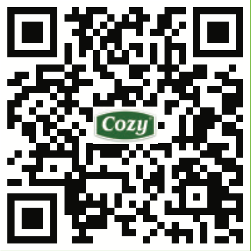 Cozy iced tea with Oolong mango flavor (455ml)