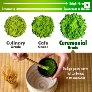 Cozy Barista Matcha 100 g
